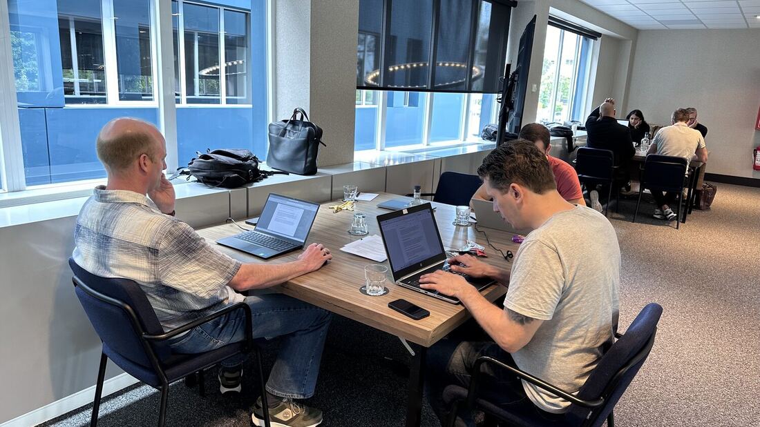 Delegates at laptops beside the windows during the working session.