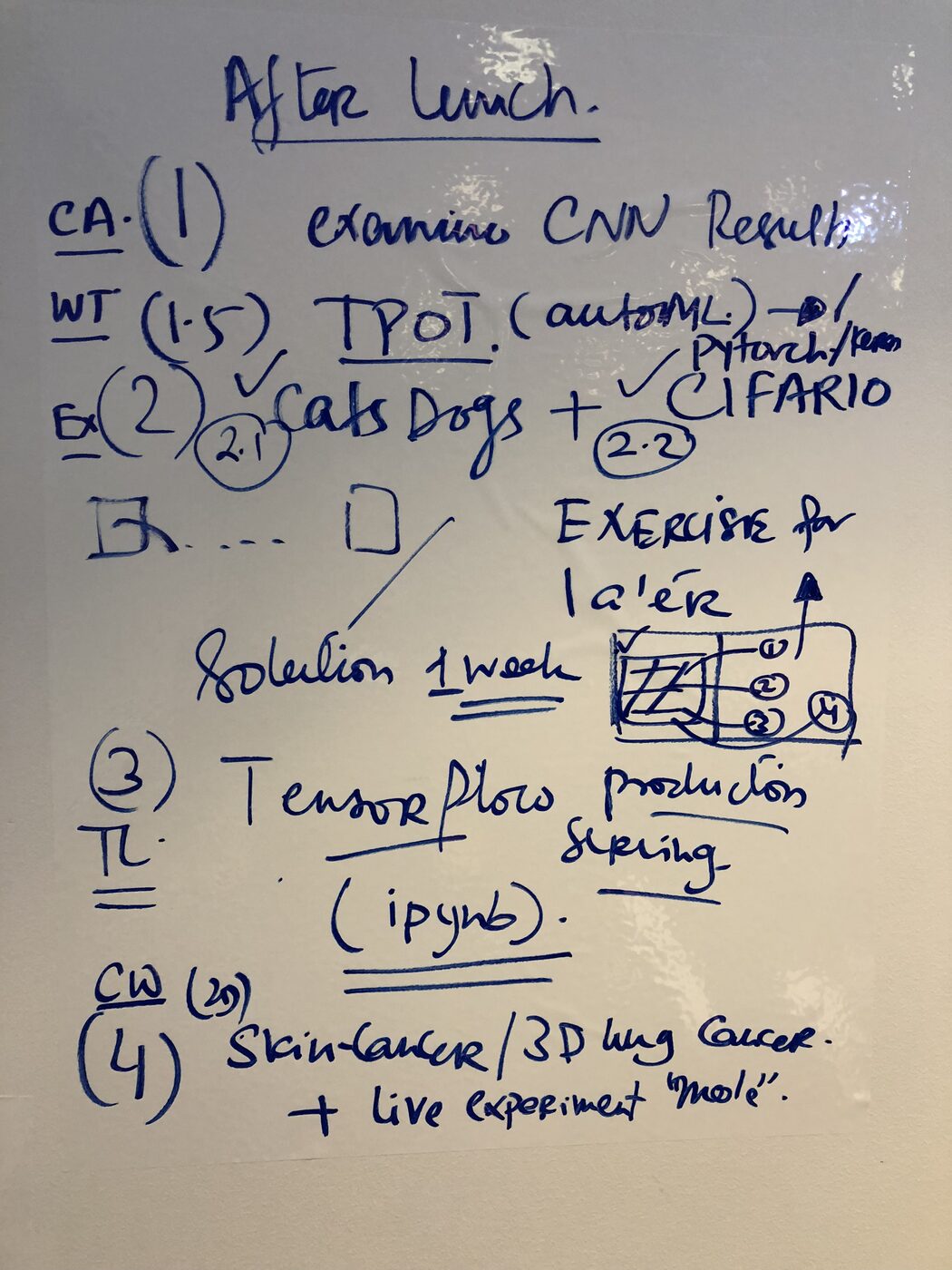 Whiteboard notes from the afternoon of day two, listing CNN results, TPOT for automated machine learning alongside PyTorch and Keras, cats and dogs, CIFAR-10, TensorFlow production and serving in a notebook, and skin cancer and 3D lung cancer with a live mole experiment.